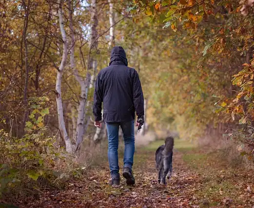 perro paseando por el campo con su dueño